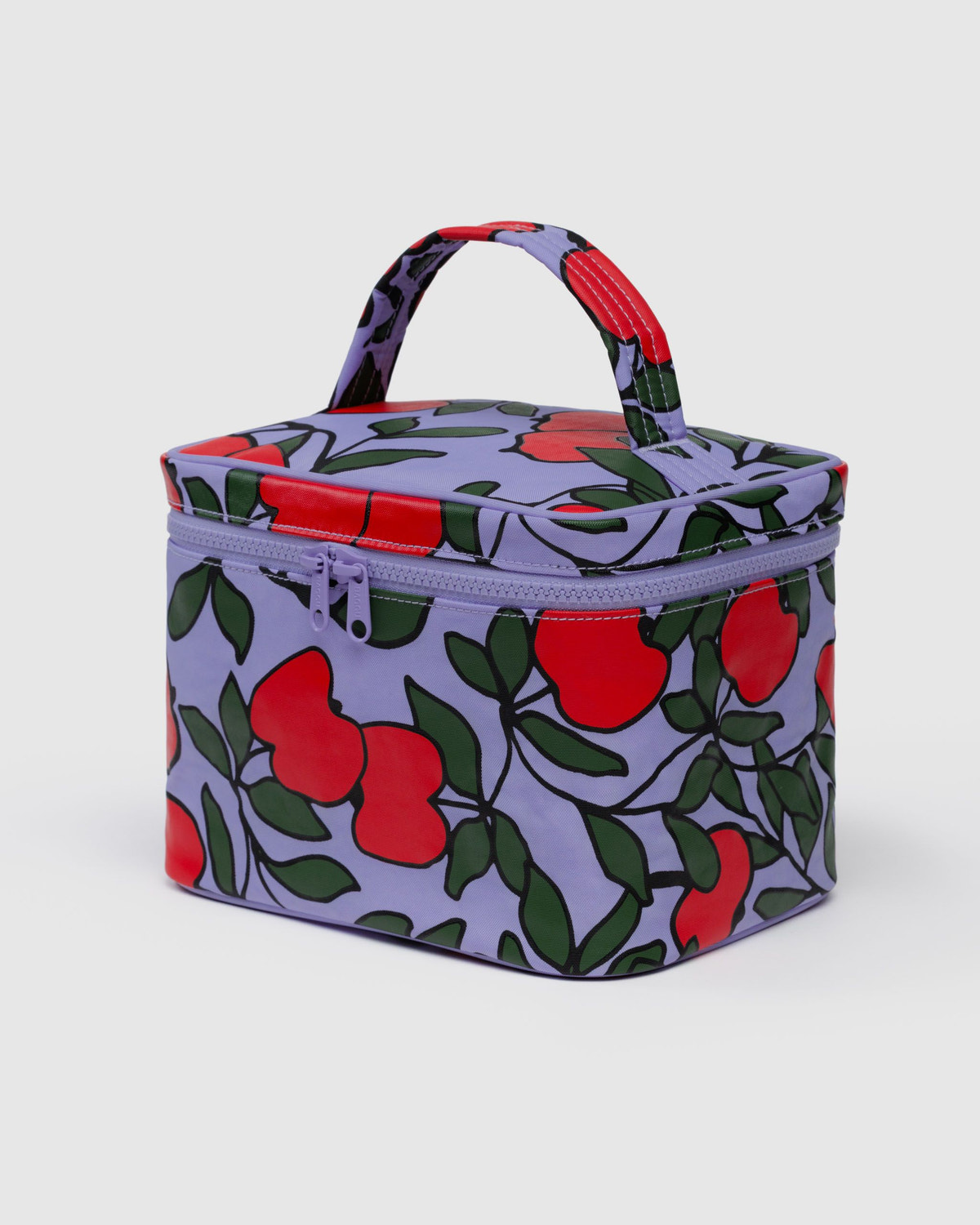 Large Cosmetic Case